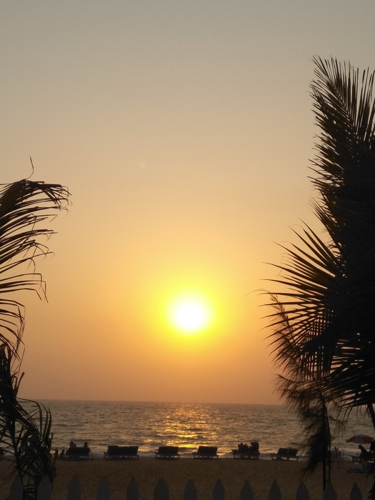IMG_20190316_181758 (525x700, 136Kb)