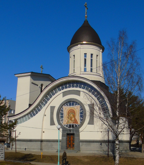 DSC00751 (611x700, 482Kb)