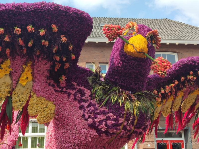    Bloemencorso Bollenstreek - 2019  