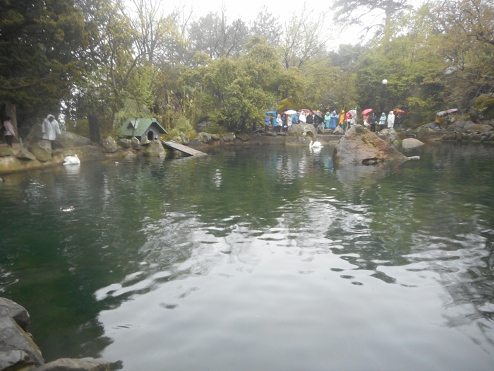 4878453_ukrim_435voronc_park (700x525, 277Kb)