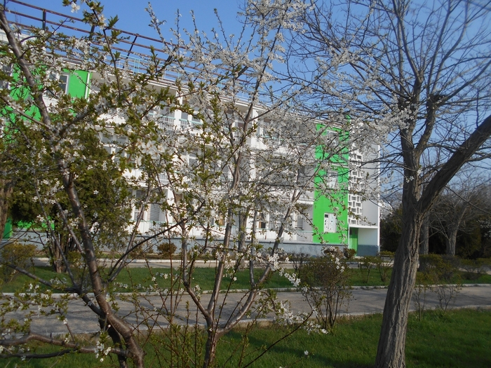 4878453_ukr_1804 (700x525, 387Kb)