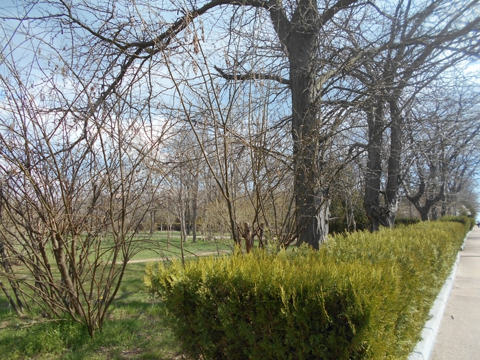 4878453_ukr_1741 (700x525, 398Kb)