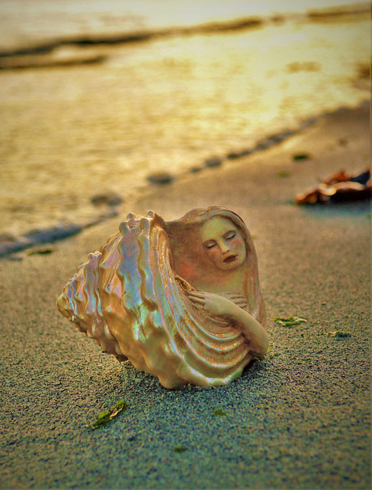 Pearl-in-a-Shell-Shell-Sculpture (532x700, 471Kb)