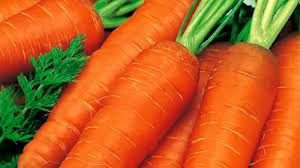 морковь1 (300x168, 48Kb)