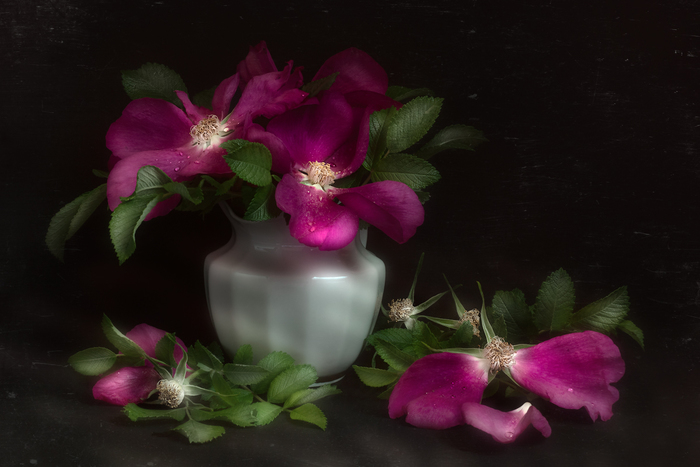 6562477_xlarge (700x467, 198Kb)