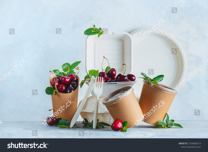 stock-photo-catering-disposables-cups-plates-and-containers-with-cherries-eco-friendly-food-packaging-on-a-1209808219 (700x513, 351Kb)