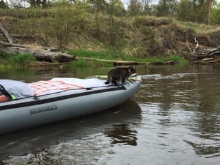 IMG-20190504-WA0012 (320x240, 17Kb)