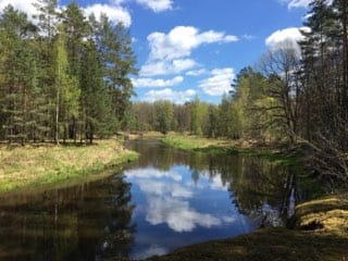 IMG-20190504-WA0018 (320x240, 17Kb)