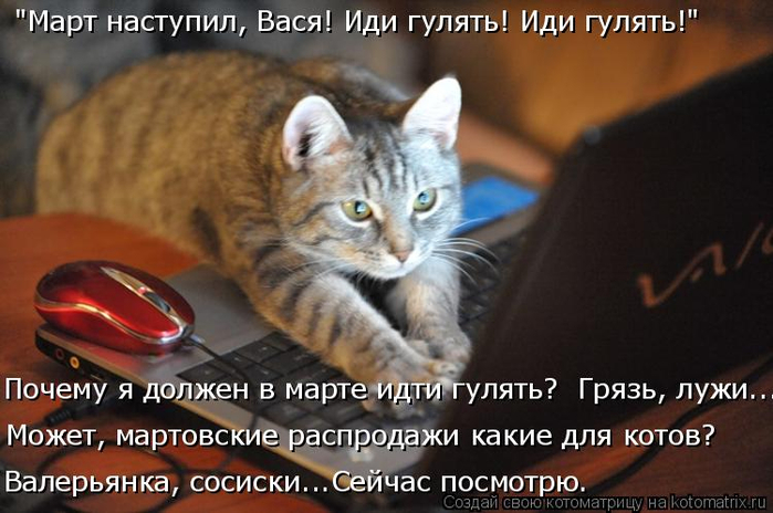 kotomatritsa_b (2) (700x464, 306Kb)