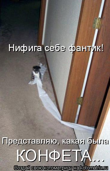 kotomatritsa_bb (367x569, 133Kb)