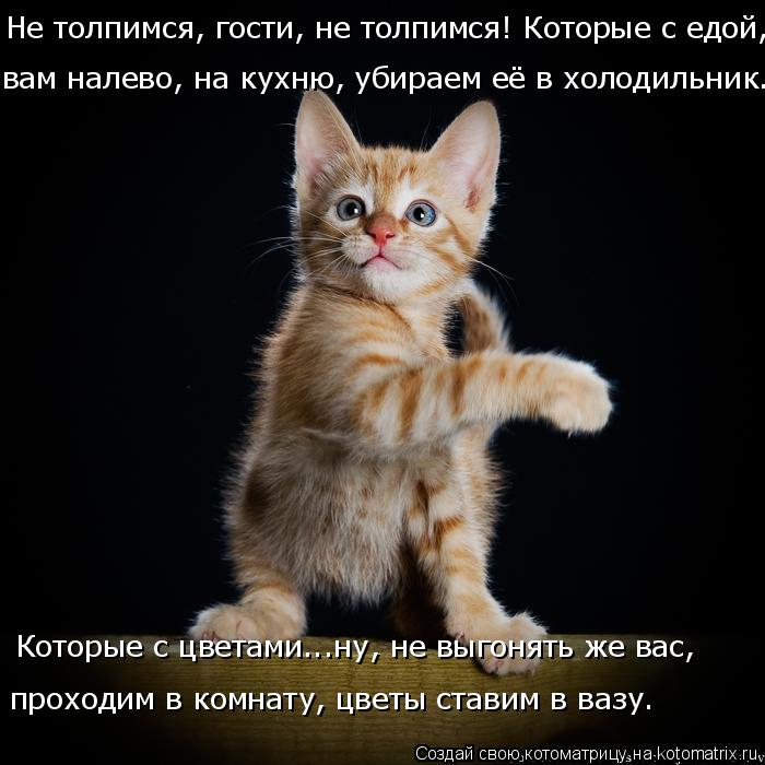 kotomatritsa_E (1) (700x700, 199Kb)