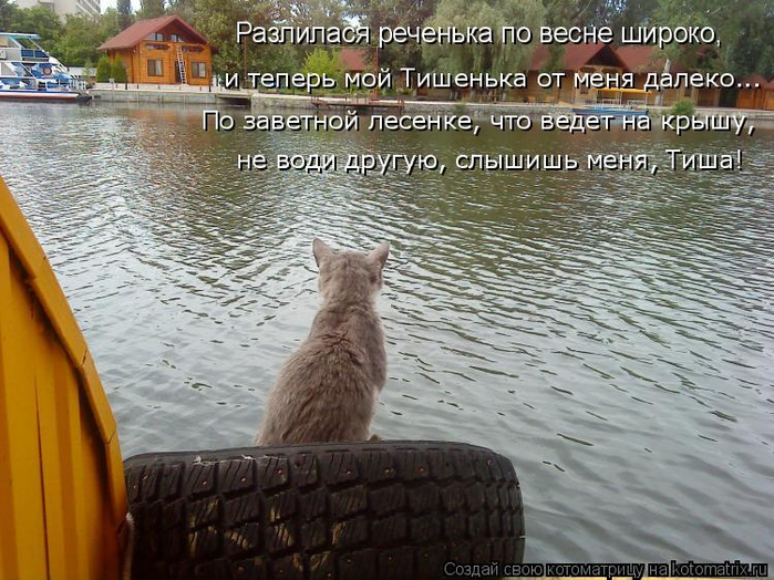 kotomatritsa_J (2) (700x524, 419Kb)