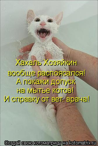 kotomatritsa_j (4) (336x500, 124Kb)
