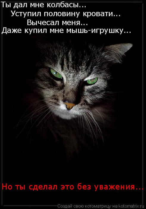 kotomatritsa_R (1) (491x700, 175Kb)