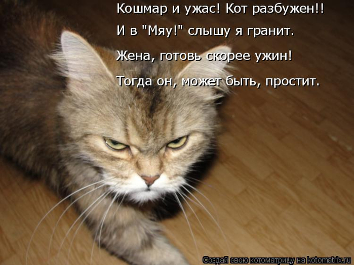kotomatritsa_X (1) (700x524, 302Kb)