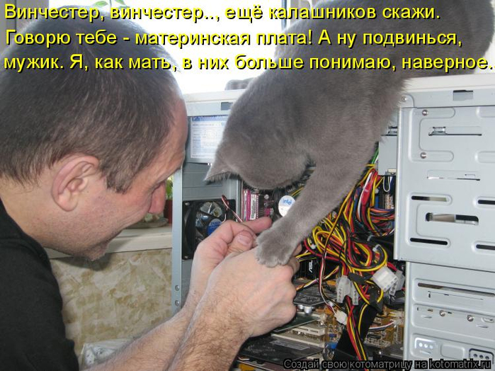 kotomatritsa_Z (1) (700x524, 401Kb)