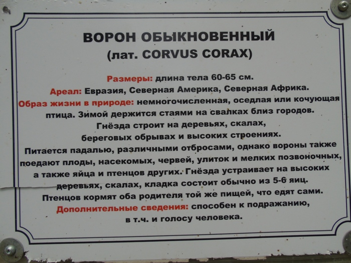 DSC03991 (700x525, 306Kb)