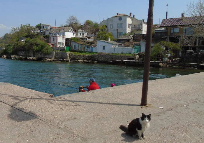 DSC04332 (700x490, 371Kb)