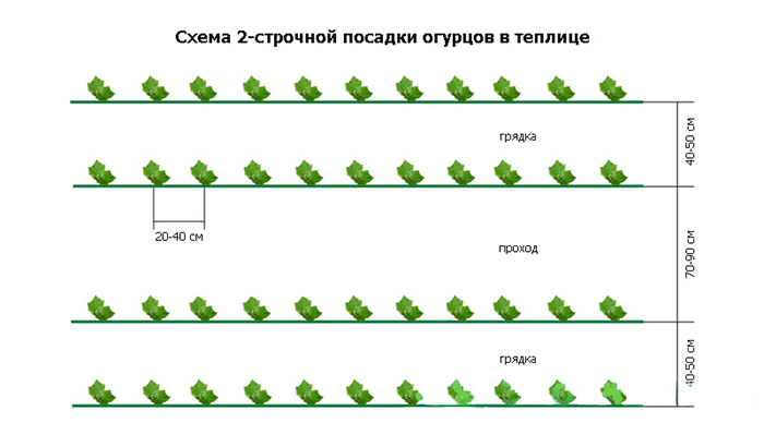 4920201_dvustrochnayaposadka (700x410, 96Kb)