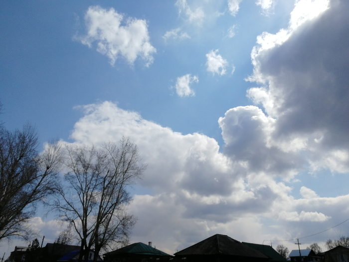 IMG_20190514_122421 (700x525, 317Kb)