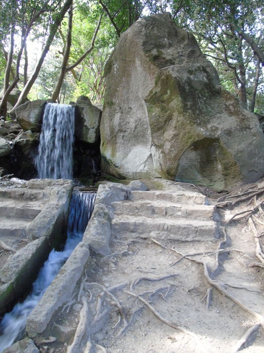 DSC06586 (525x700, 428Kb)