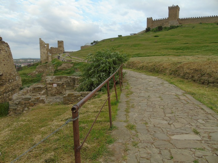 DSC00243 (700x525, 367Kb)