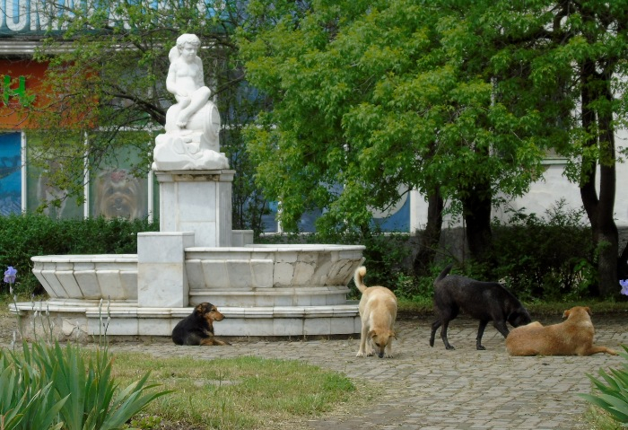 DSC00432 (700x479, 427Kb)