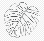  kisspng-swiss-cheese-plant-leaf-drawing-sketch-monstera-5ac184c4ae62a5.8675123515226318767143 (700x653, 232Kb)