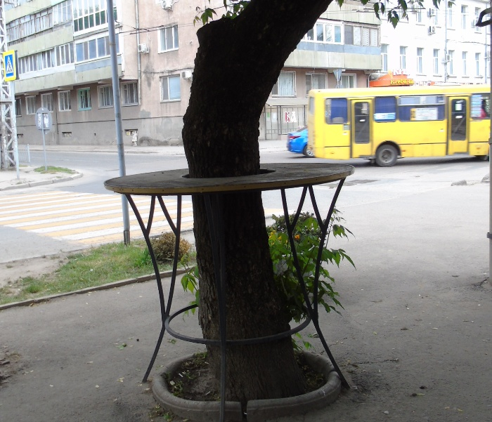 DSC01104 (700x601, 392Kb)