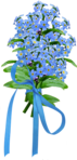  Forget-Me-Not-PNG-Image (334x700, 316Kb)