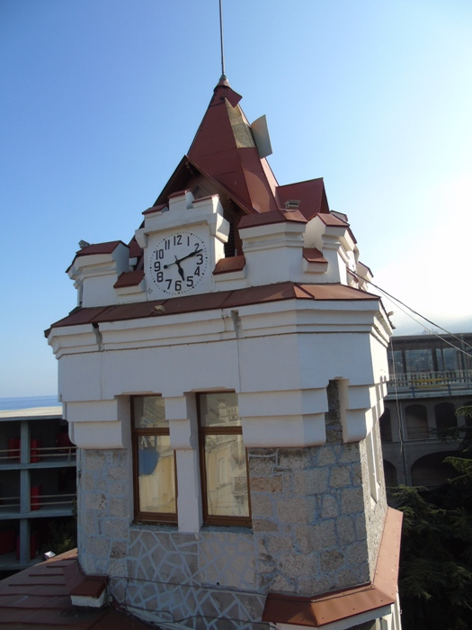 DSC06207 (525x700, 275Kb)