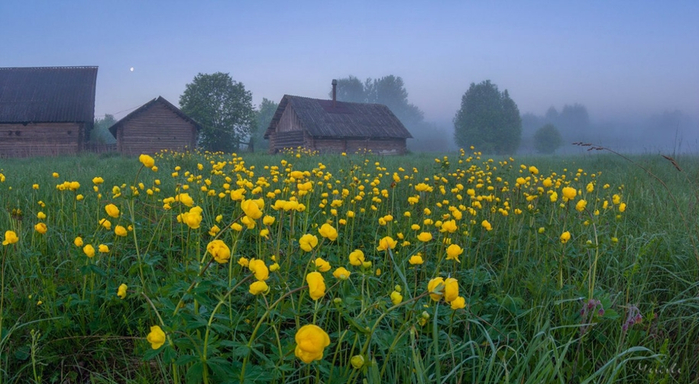 Beautiful-countryside-scenery-05 (700x384, 331Kb)