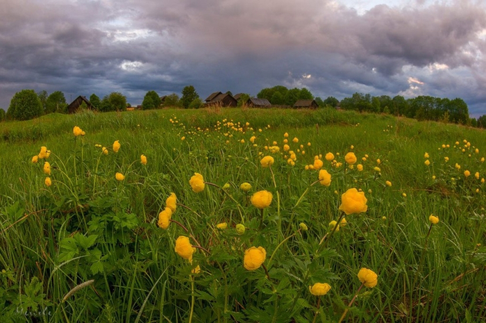 Beautiful-countryside-scenery-23 (700x465, 406Kb)