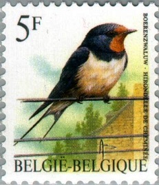 Barn-Swallow-Hirundo-rustica (231x269, 32Kb)