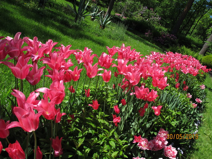 1559253382_IMG_5108 (700x525, 196Kb)