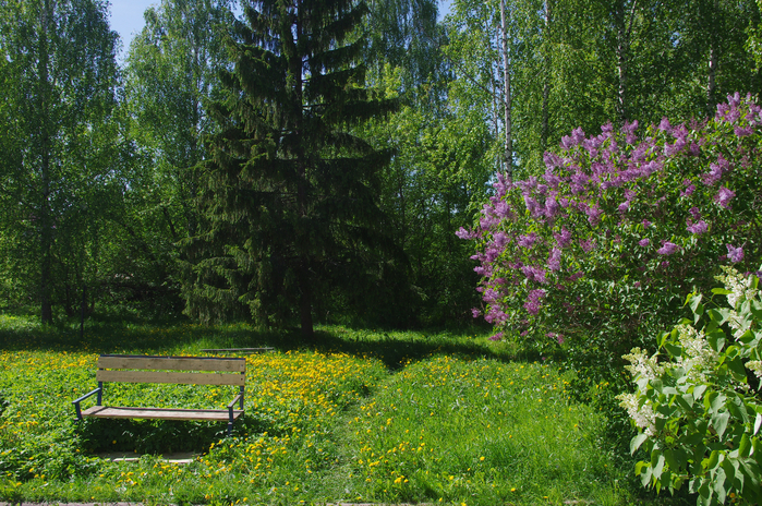 IMGP1468 (700x464, 650Kb)