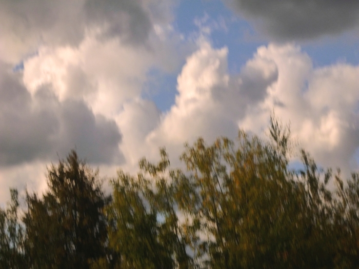  184 (700x525, 179Kb)