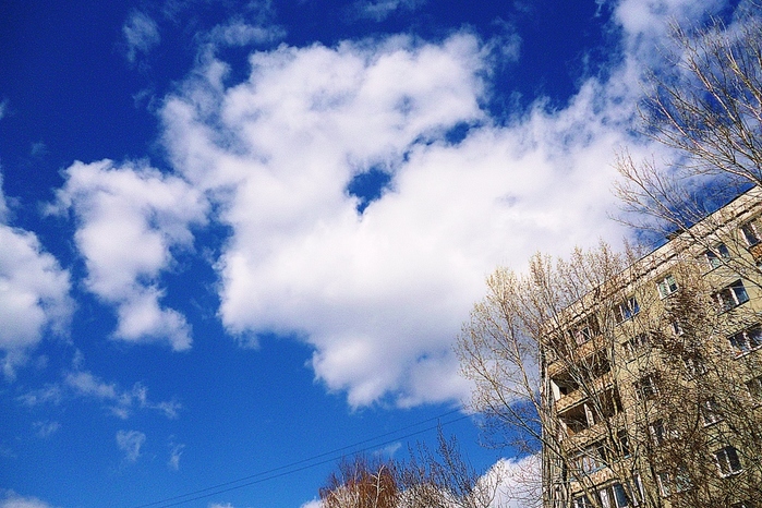 P1010146 (700x466, 232Kb)