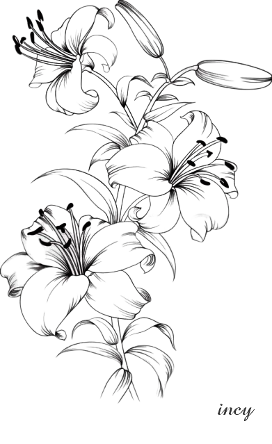 liliom fekete, fehér (391x639, 181Kb)