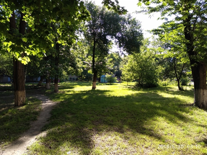IMG_20190530_081059[1] (700x525, 309Kb)