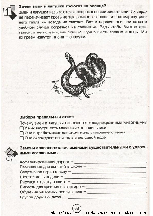 Zanimatelnaya_letnyaya_shkola_2-3_klass_68 (494x700, 284Kb)