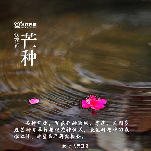 64bc2d8d-bd04-4f62-b7e1-f2467380123d (500x500, 184Kb)