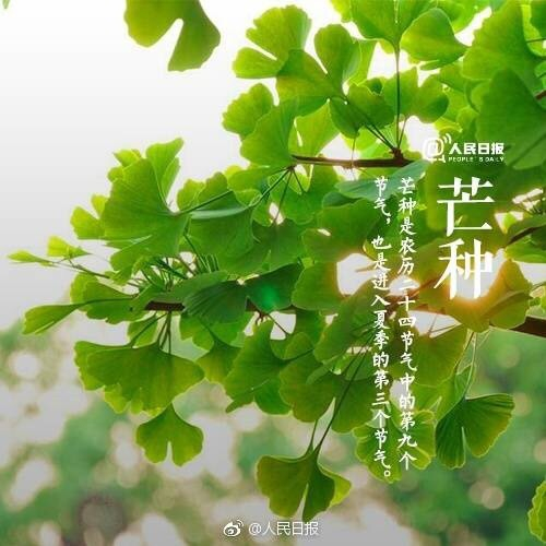 f2e54cb3-7f40-4a17-98e9-24dd6032f59b (500x500, 212Kb)