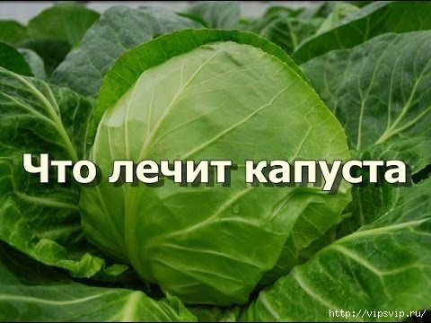 chto_lechit_kapysta (480x360, 109Kb)