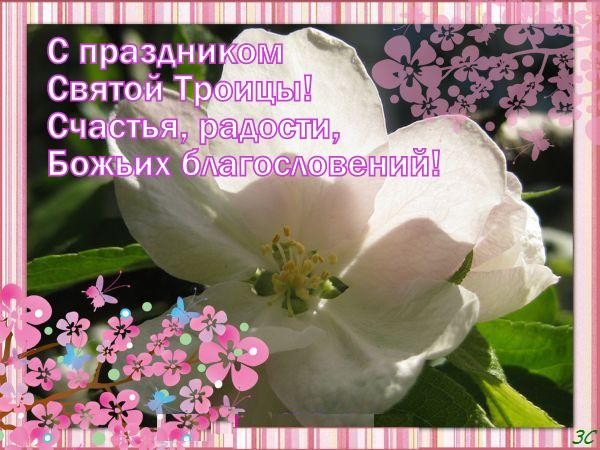 3470549_Troica____ (600x450, 84Kb)