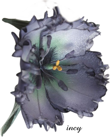 kék v2 (372x462, 293Kb)