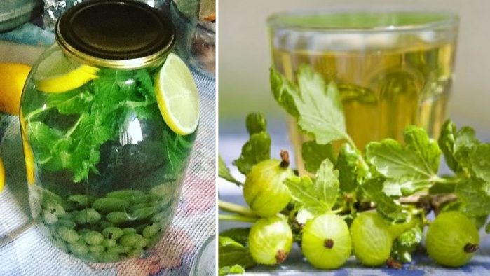 kompot_mohito (700x394, 55Kb)