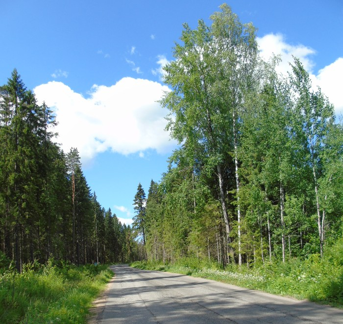 DSC01332 (700x660, 552Kb)