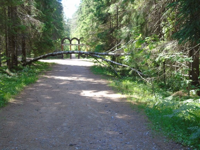 DSC01379 (700x525, 446Kb)