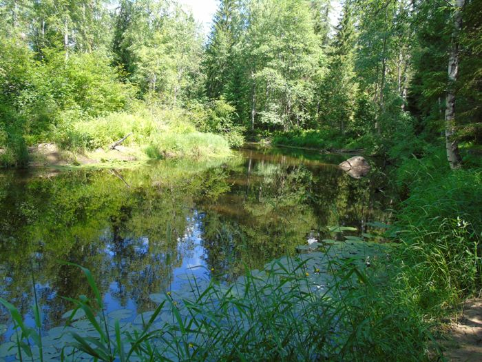 DSC01429 (700x525, 458Kb)